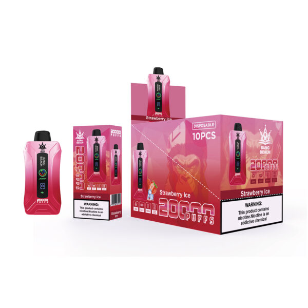 BANG BEACH 20000 PUFFS - Image 13