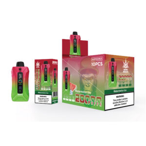 BANG BEACH 20000 PUFFS