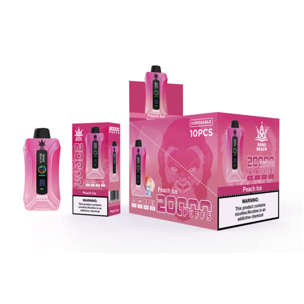 BANG BEACH 20000 PUFFS - Image 9