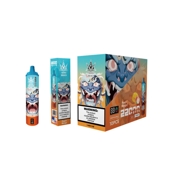 BANG BEACH 22000 PUFFS - Image 12