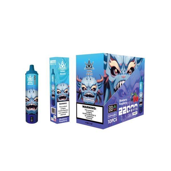 BANG BEACH 22000 PUFFS - Image 7