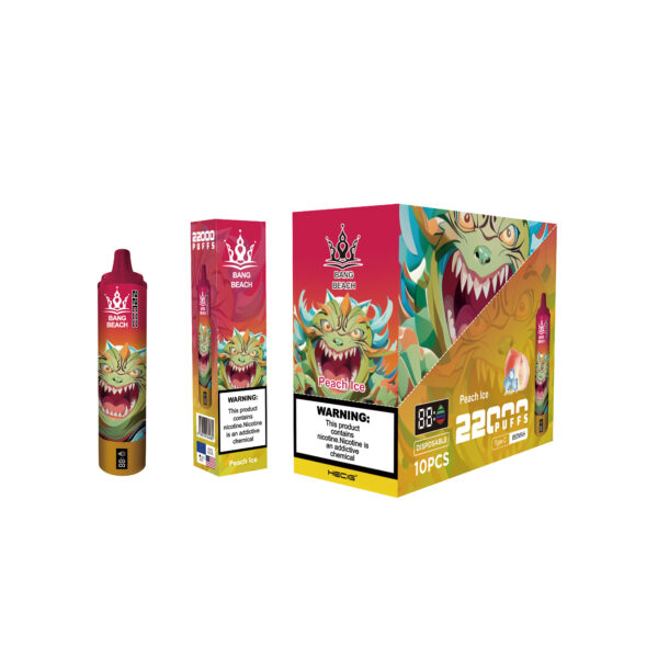 BANG BEACH 22000 PUFFS - Image 6