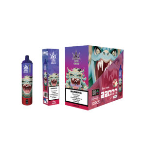 BANG BEACH 22000 PUFFS