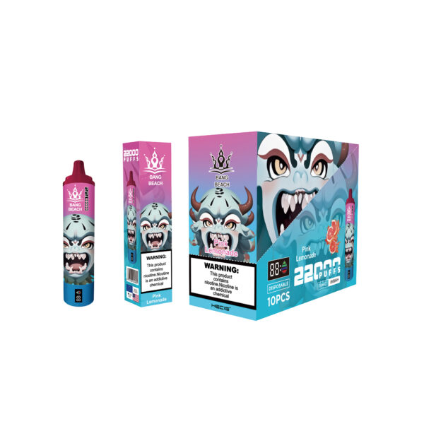 BANG BEACH 22000 PUFFS - Image 4