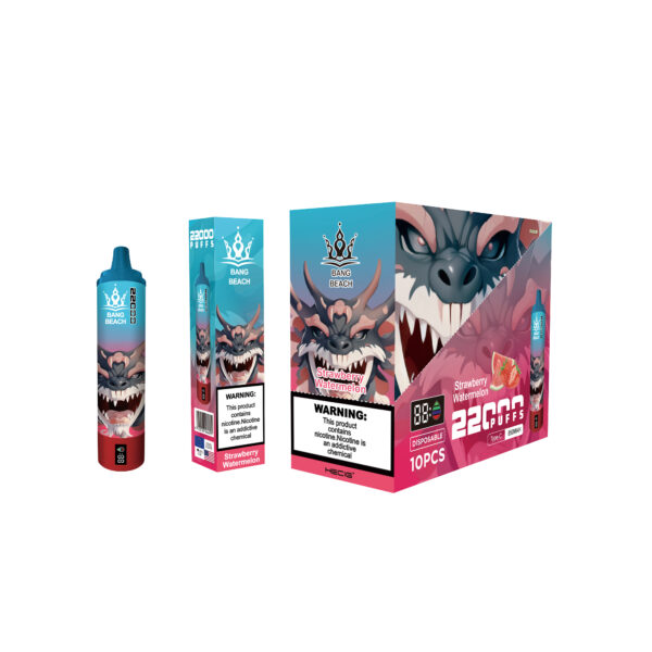BANG BEACH 22000 PUFFS - Image 11