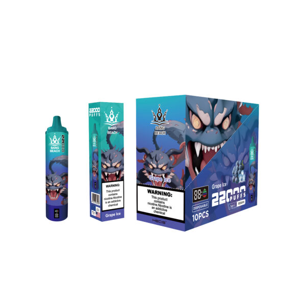 BANG BEACH 22000 PUFFS - Image 9