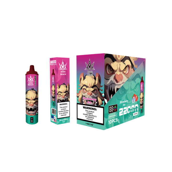 BANG BEACH 22000 PUFFS - Image 2