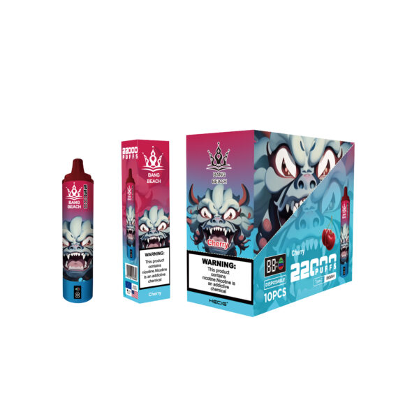 BANG BEACH 22000 PUFFS - Image 8