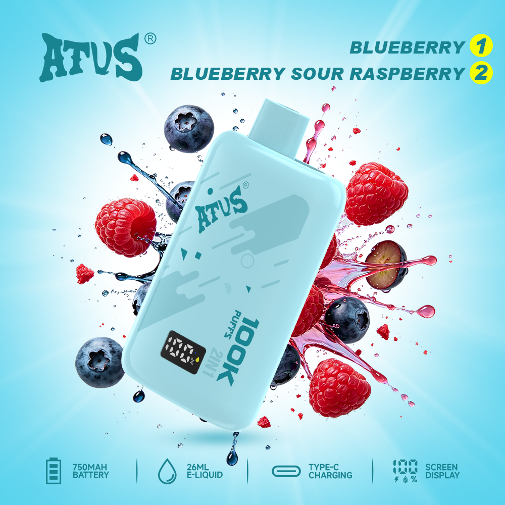 ATVS 100K puffs disposable vape wholesale image 4